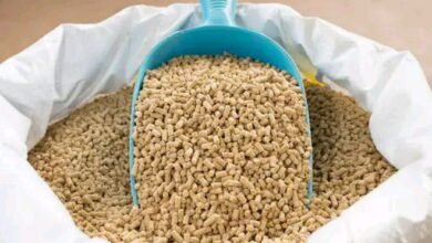 Requirements And Cost Of Starting An Animal Feeds Business In Kenya Animal Feeds Business In Kenya