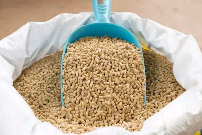 Requirements And Cost Of Starting An Animal Feeds Business In Kenya Animal Feeds Business In Kenya